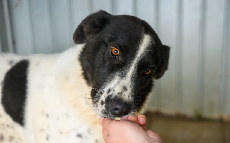 EHFS_DSC_3067_Lilly_900x560