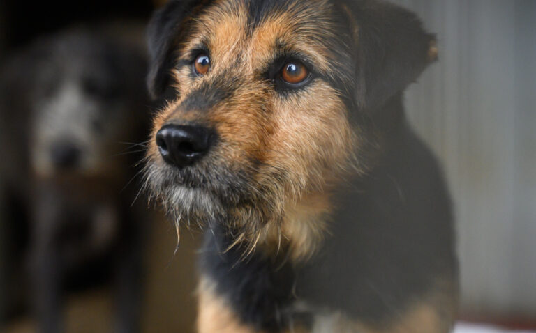 EHFS_DSC_4294_3erWG_mit_Flavio-Mushu_900x560