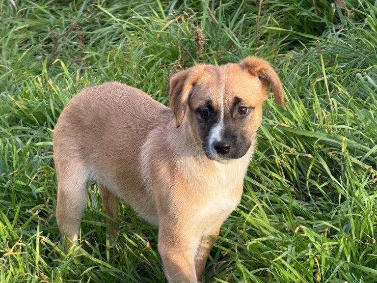 FB_IMG_1765182801428