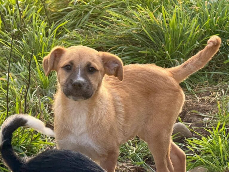 FB_IMG_1765183267532