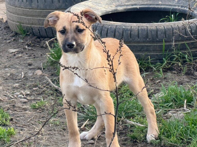 FB_IMG_1765183690033