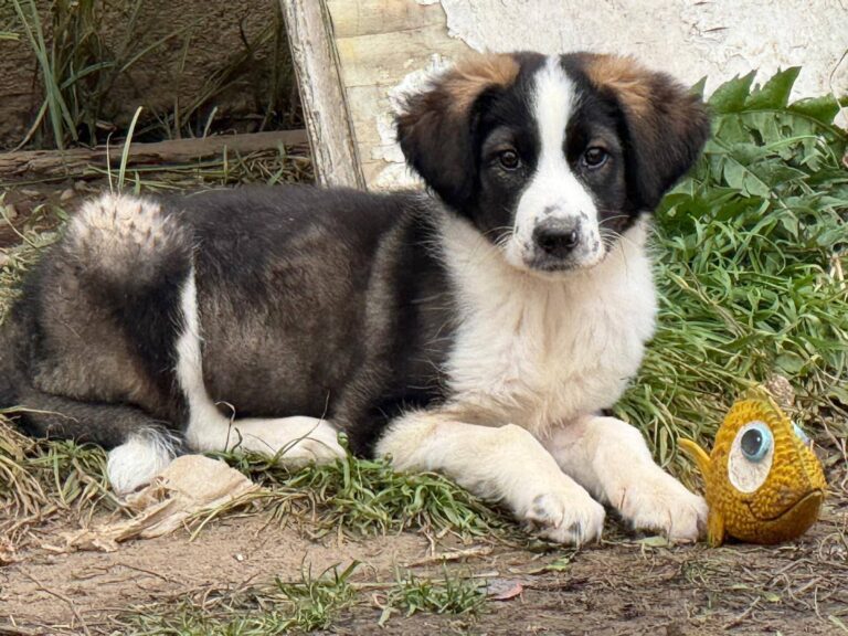 FB_IMG_1765184155853