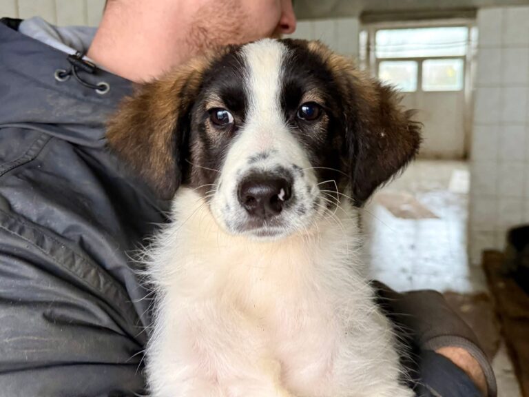 FB_IMG_1767185515365