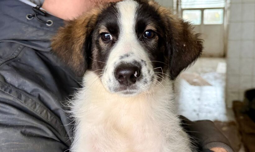 MINOU – reserviert