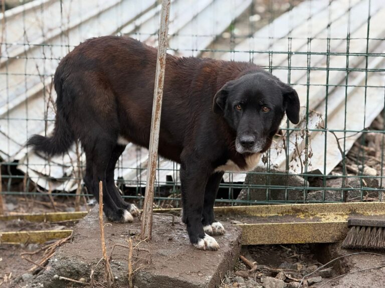 FB_IMG_1775461714790