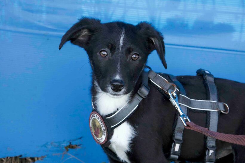 LUPEGA – reserviert LUPEGA – reserviert