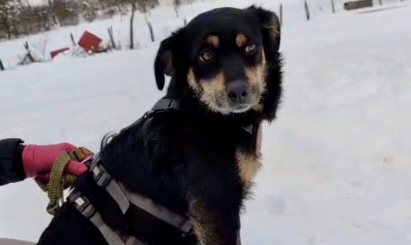 TONIA – reserviert