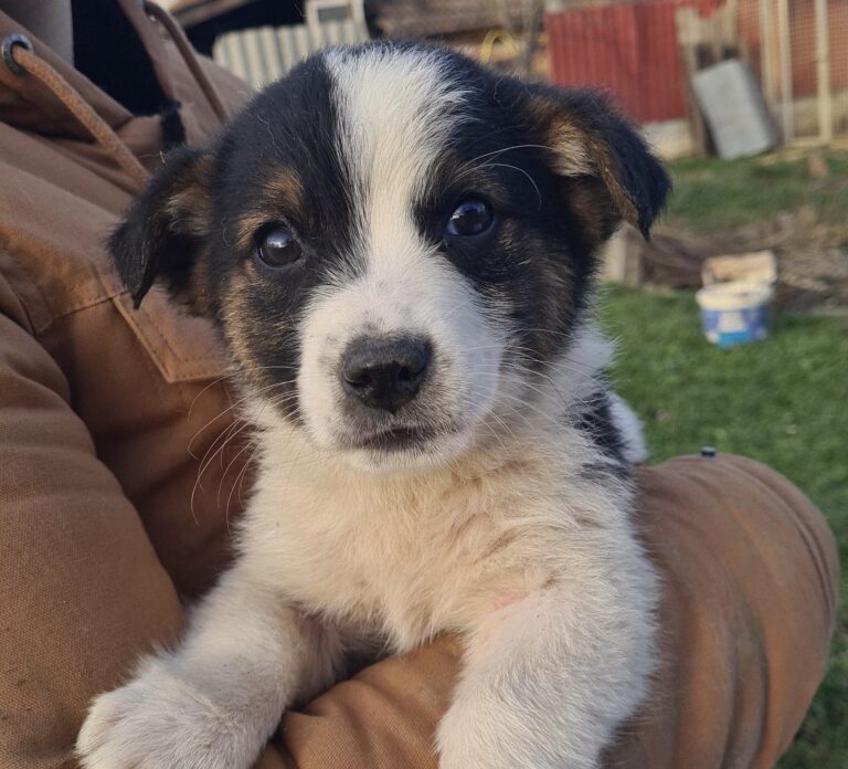 ab0d0d2c-a80d-4f10-acbd-034578fc7688