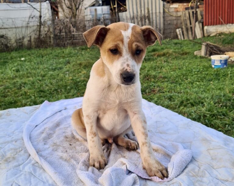 da6c39c1-b8a6-492e-a4a7-6ec5309c199a