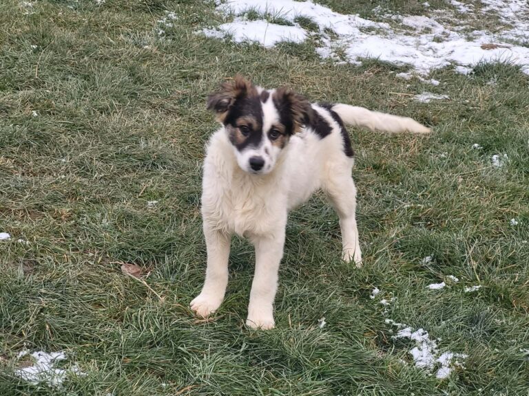 db310eb8-c012-4e51-b3a4-e414d278d205