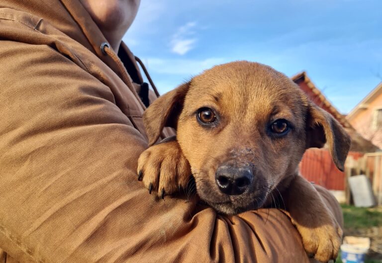 fd8abc63-0461-4af3-a82e-5e93e1843091