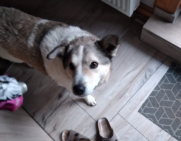 inbound1429079274170193866