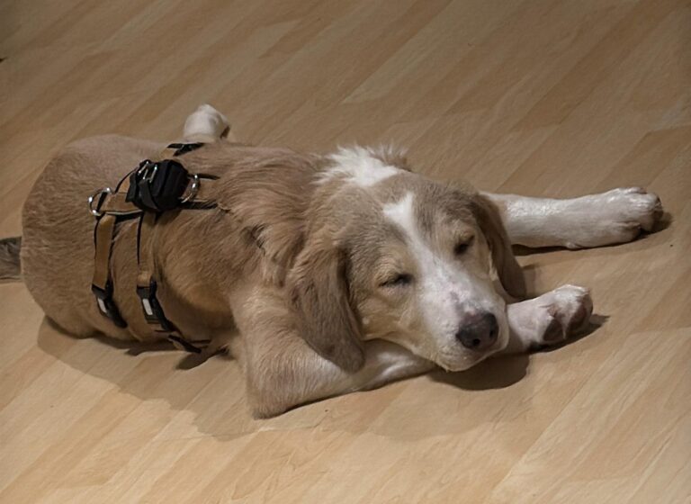 inbound338409580802556691