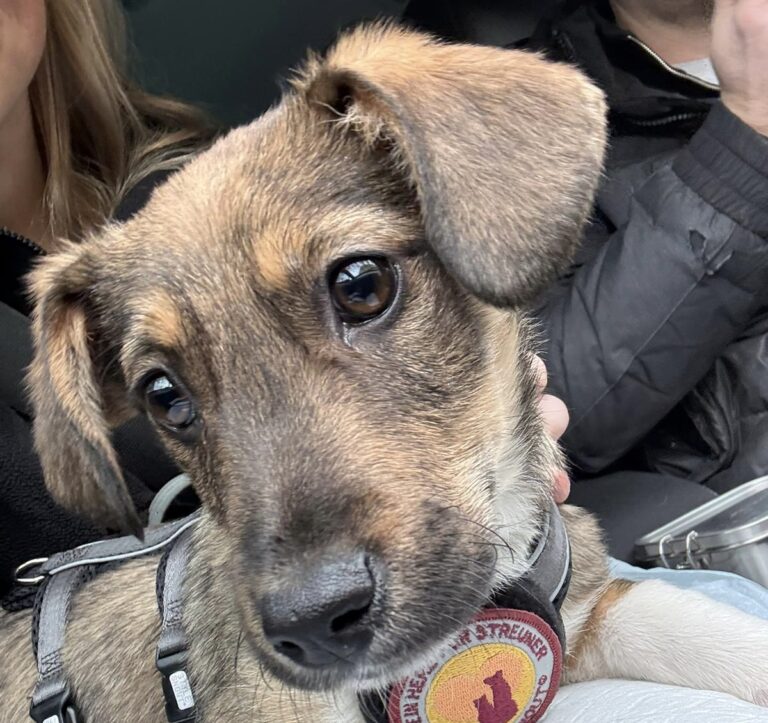 0ebf7440-e29f-437b-a43a-226c1613acdc