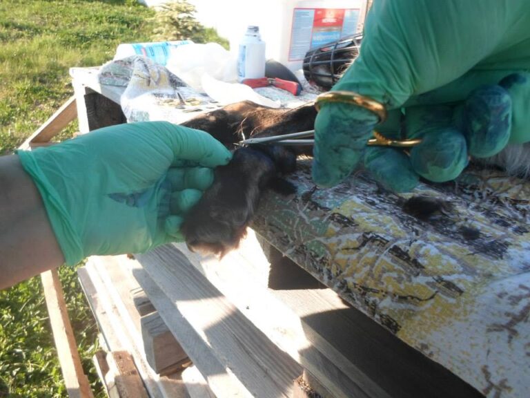 10171294_280932145413834_437803204_n-768x576