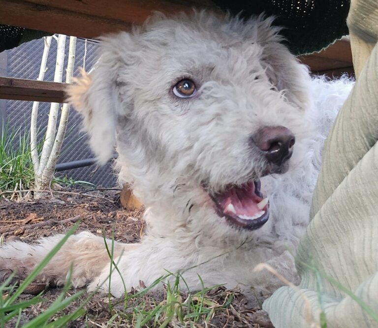 10b61a55-b96e-43fc-817d-ca6ffcf2d6a6