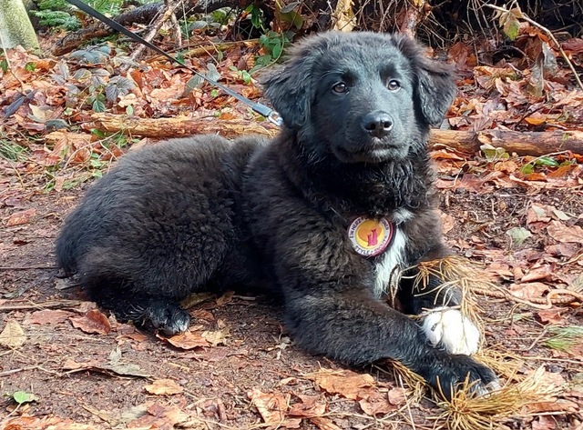 14037a59-44df-459a-a5d7-d0d7b79480da