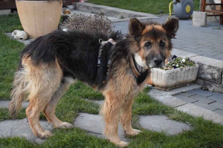 164689179_2833633026890804_2937773962332950390_n-768x512