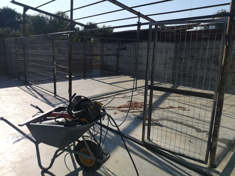 241782578_3075010116067927_3749615211169933609_n-768x576