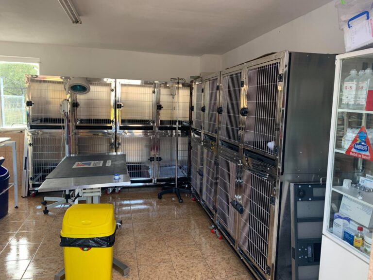 246519152_205316215020193_6251253049322519242_n-scaled-1-768x576