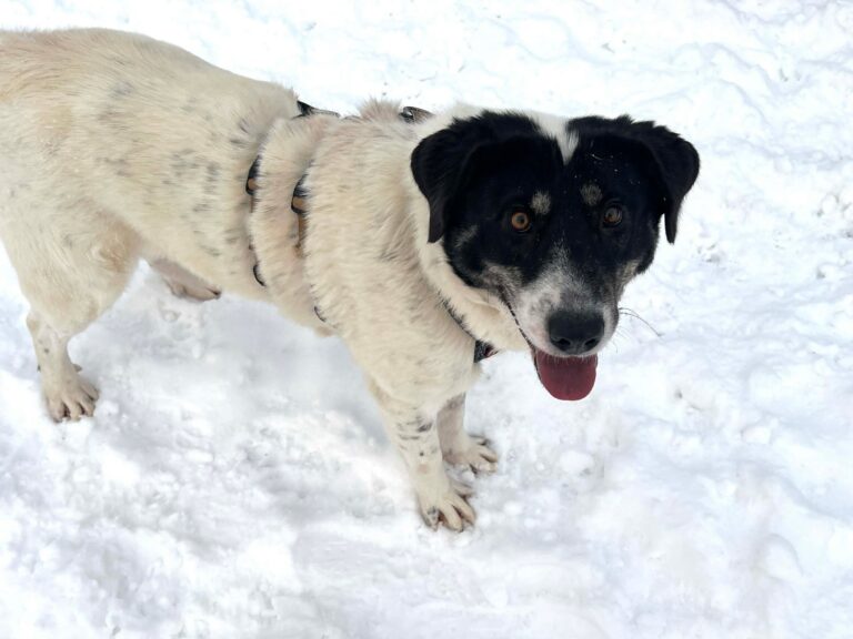 246f7bda5be3210161b6142ffa5b362b