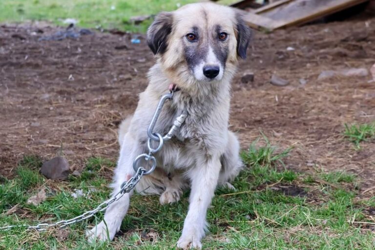 336607945_6282611775124301_8980255609231169257_n-768x512