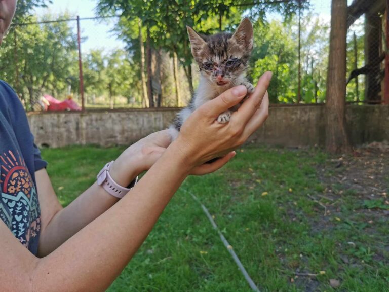 363534372_1462232257943300_6466045030658340427_n-768x576