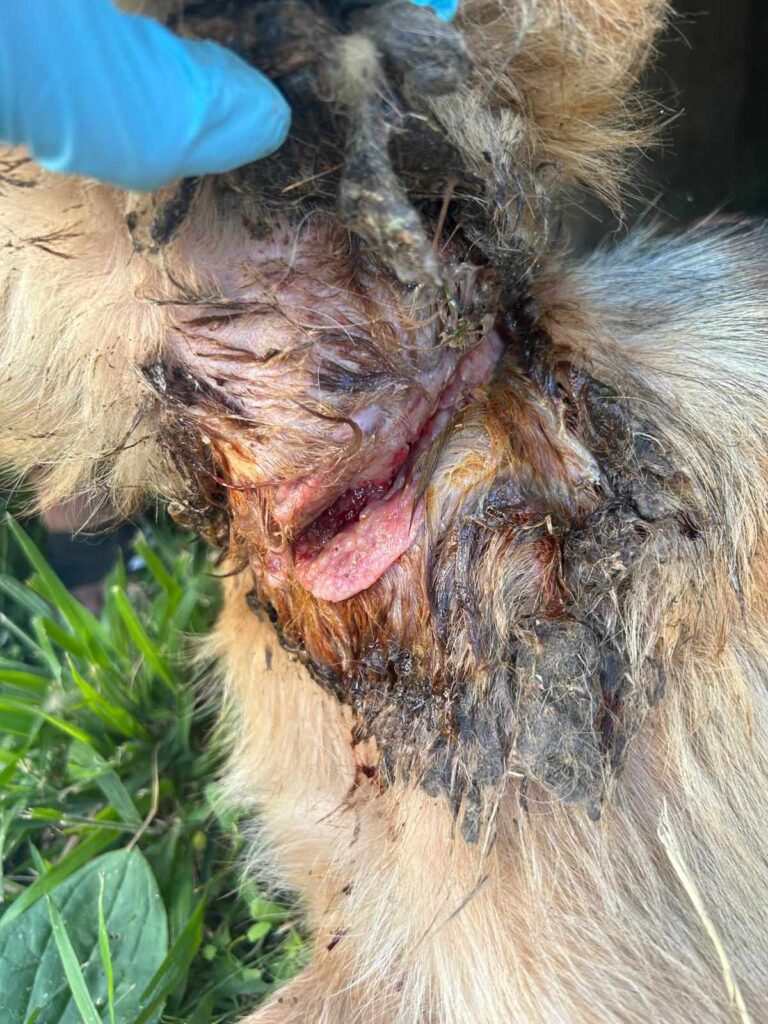 364186020_845446697007058_5468273399971893452_n-768x1024