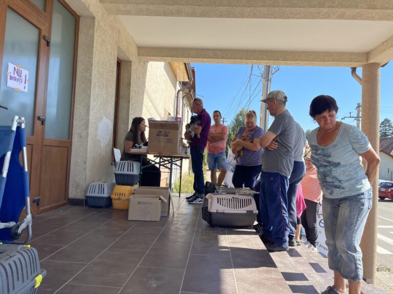 372151824_1027069642072155_3962957582682364427_n-scaled-1