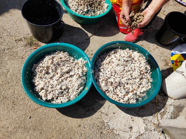 372671852_613625010959832_6642840761912012101_n-768x575