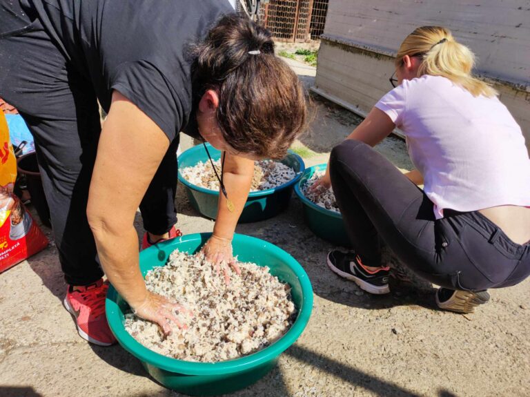 375013742_836135331583337_1714722766994702087_n-768x575