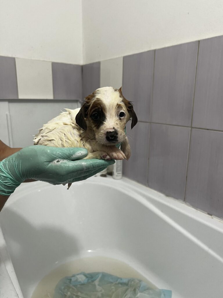 381479386_3673508196267549_9017755703133453187_n-scaled-1-768x1024