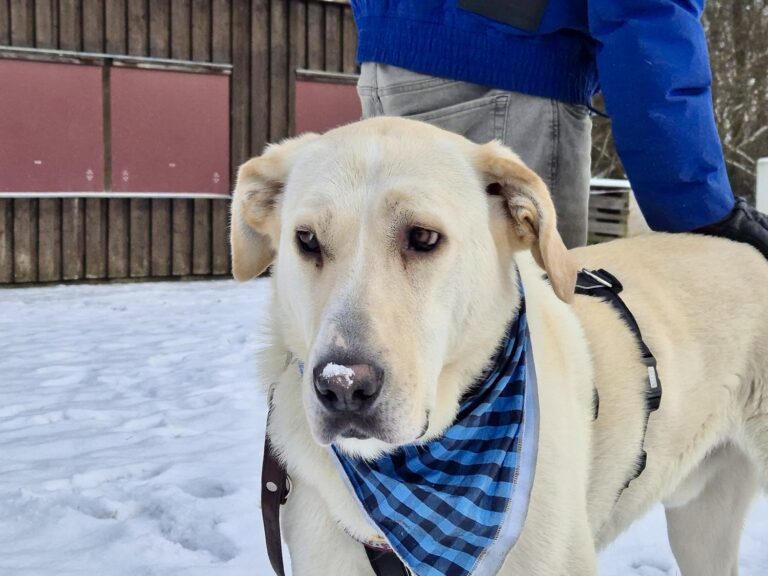 381d5ace-4b34-453d-a137-23abed9f2b36