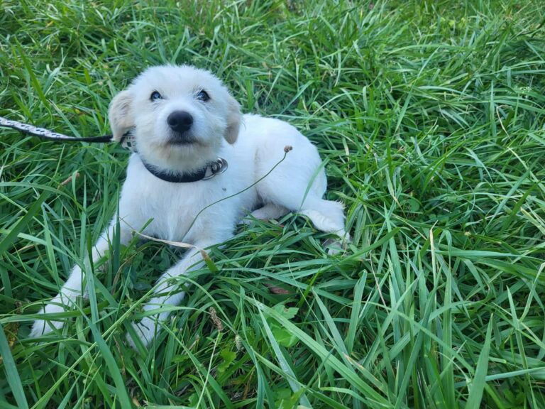 558148605_23935721992769857_4435480166728800423_n