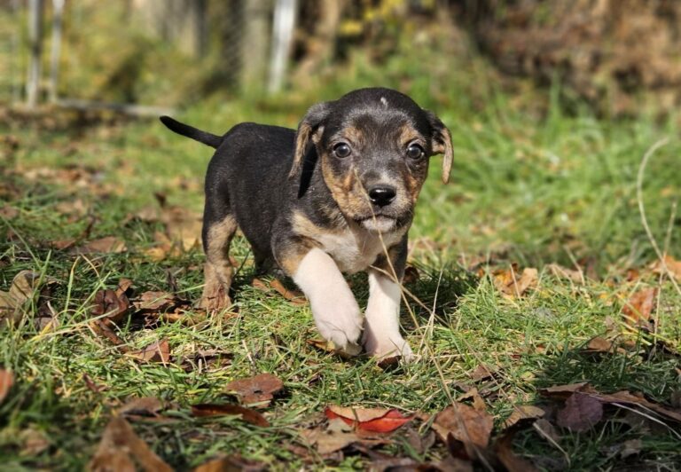 574032451_2848650911995558_8665460625832791266_n