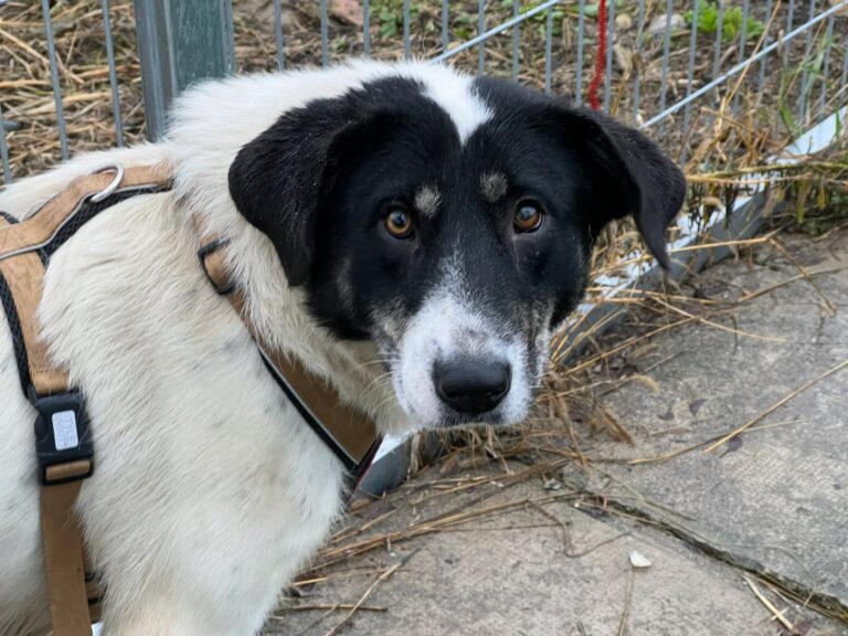 588711907_4125560224364808_5104799926814304602_n