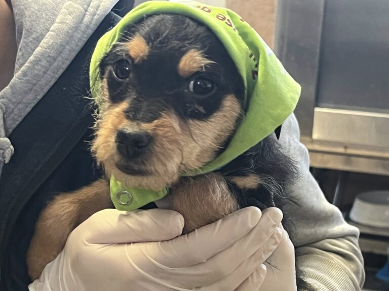 599927473_4144793335770470_7774931380545711827_n