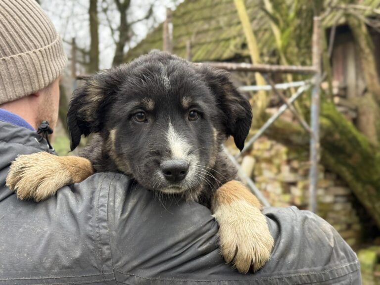 600340874_26276478005272514_3517314899356475192_n