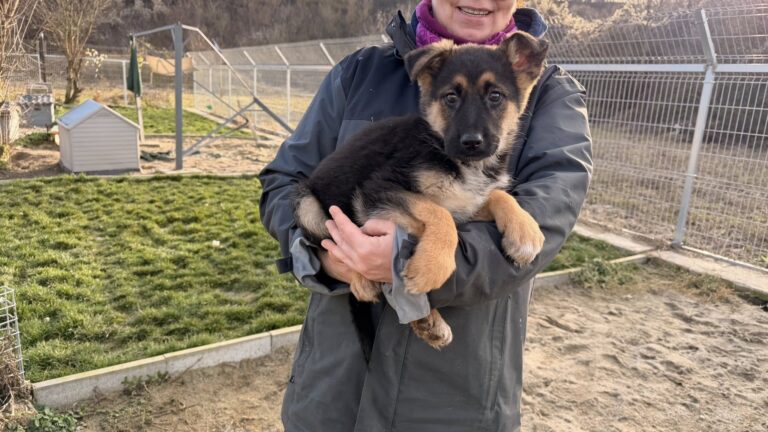 601364772_25506256119012038_8861381078890850612_n