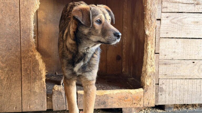 601374918_25498440819793568_424875255566349992_n