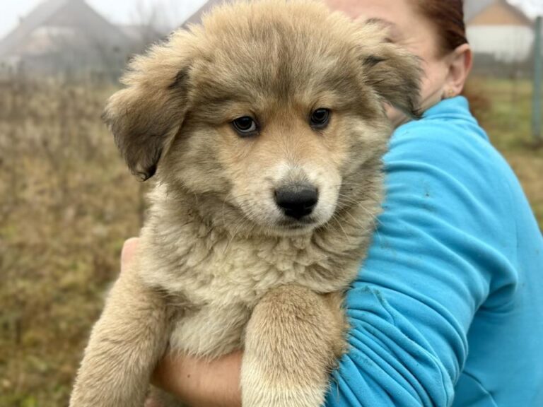 601449074_26273849258868722_7058424984197941326_n