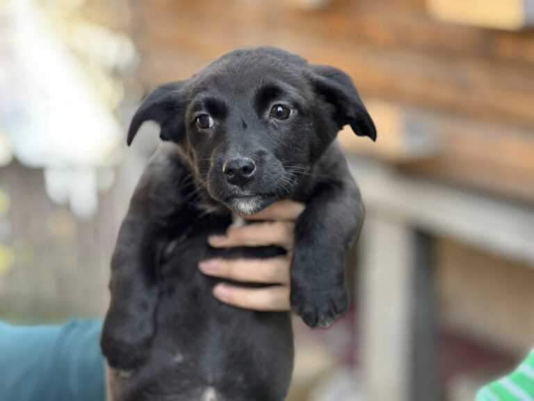 602325867_25332140636435824_3959400768955754925_n