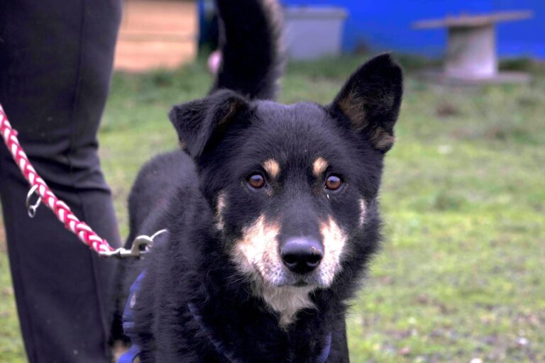 602384658_26275011265419188_1827361919739163743_n