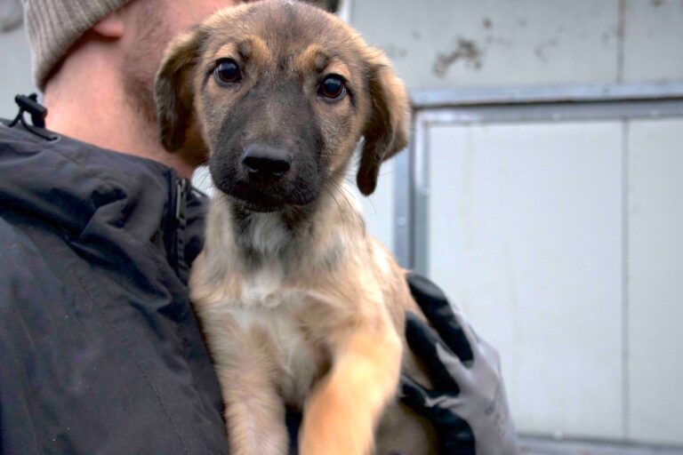 602462931_26275335152053466_2303840101446889417_n