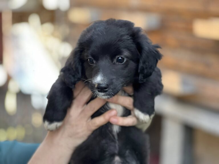 602969346_25332028416447046_5147566598337048649_n