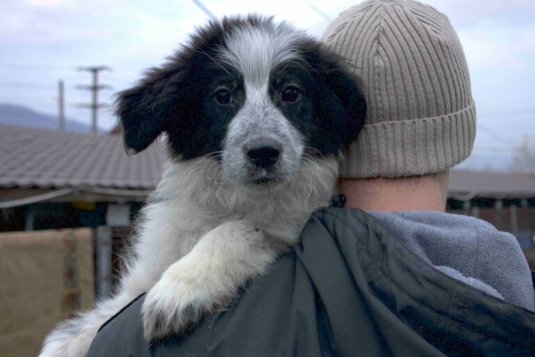 603021257_26275239218729726_5149191186172535287_n