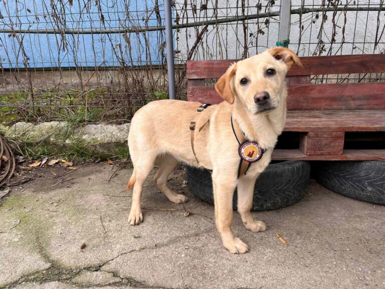 603835161_10240760126964423_7883931695011569009_n