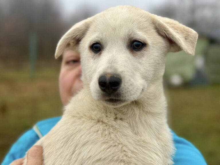 603874063_26273887245531590_7679286678017227785_n