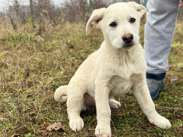 603932937_26273921695528145_7648117468288070323_n