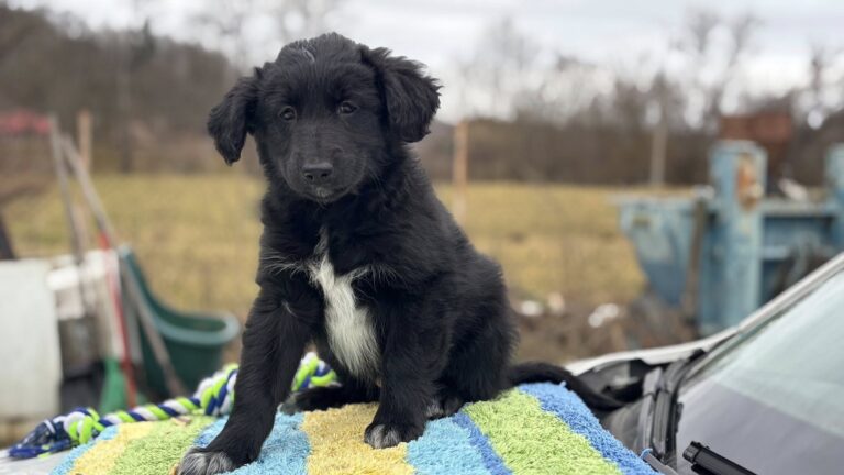 604514476_122224472774122691_3031656779315242322_n